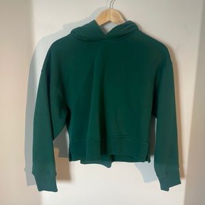 ZARA Cropped Hoodie